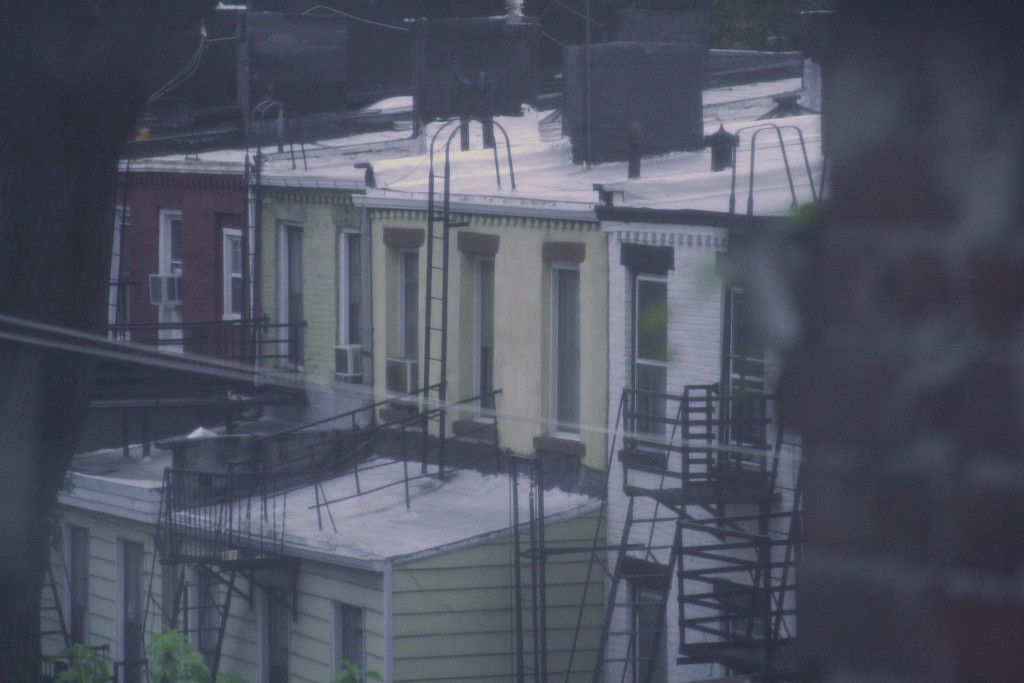 neighbors
